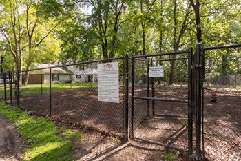 Dog park